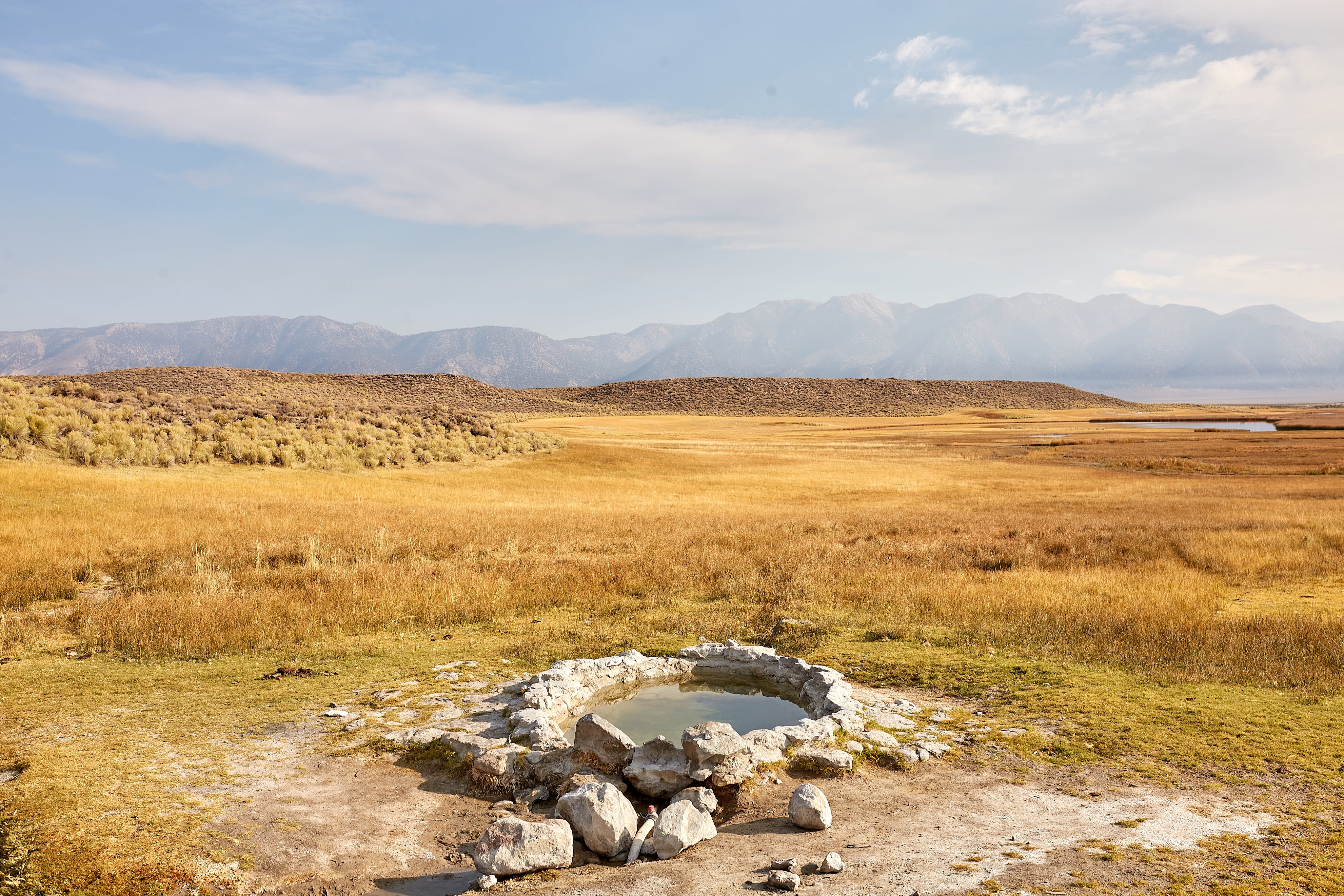 12 Tips for a Greener New Year