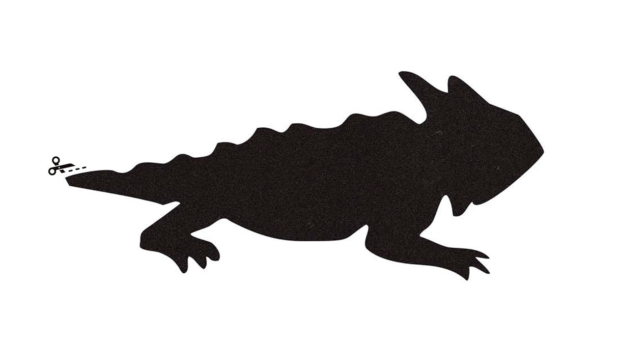 Carve Your Pumpkin Toad Style