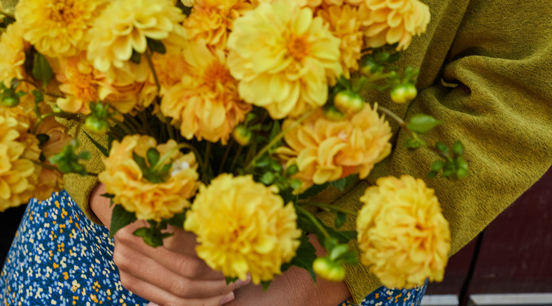 Beyond Bubble Baths: Toad Self-Care Tips