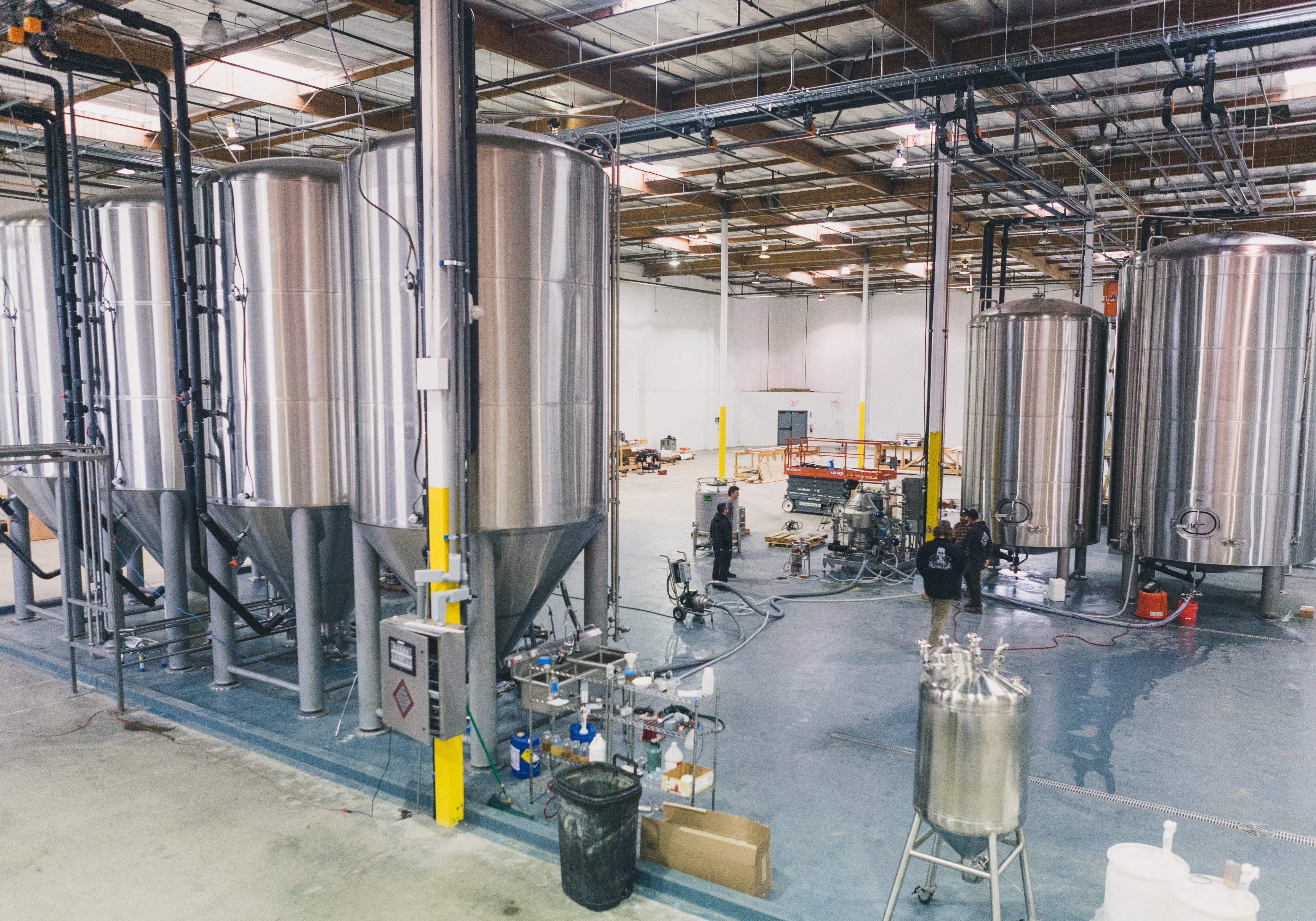 Good Toadings: Toad&Co x Topa Topa Brewing Co. Collaboration Beer