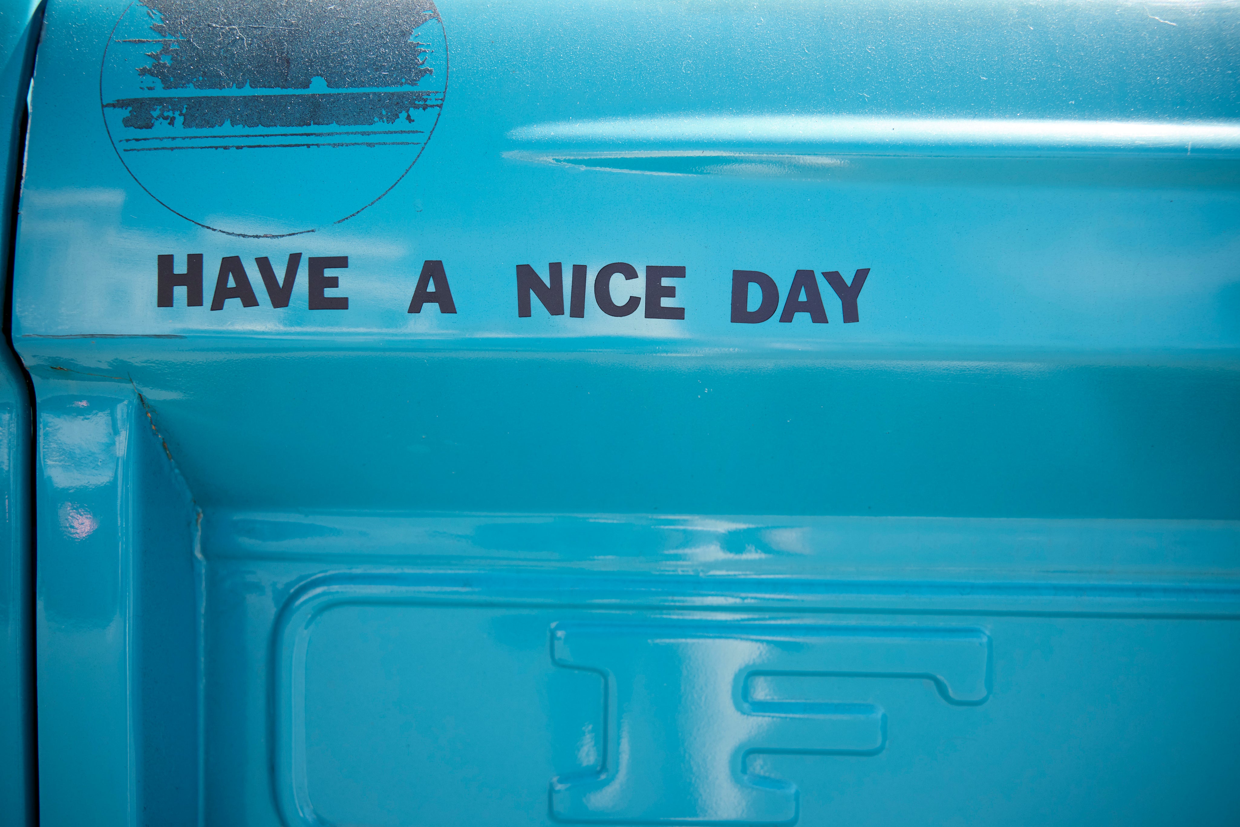 Behind the Scenes of a Toad Photoshoot: A Weekend in San Diego