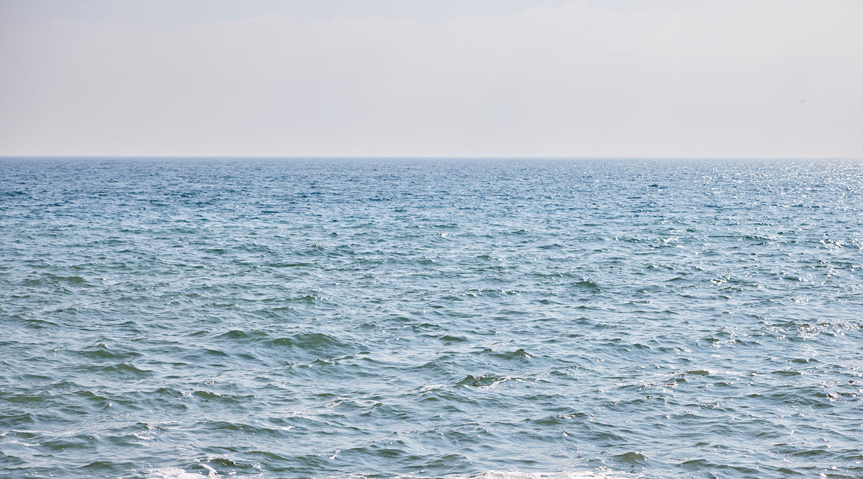 Toad Tips For Mental Health Awareness Week