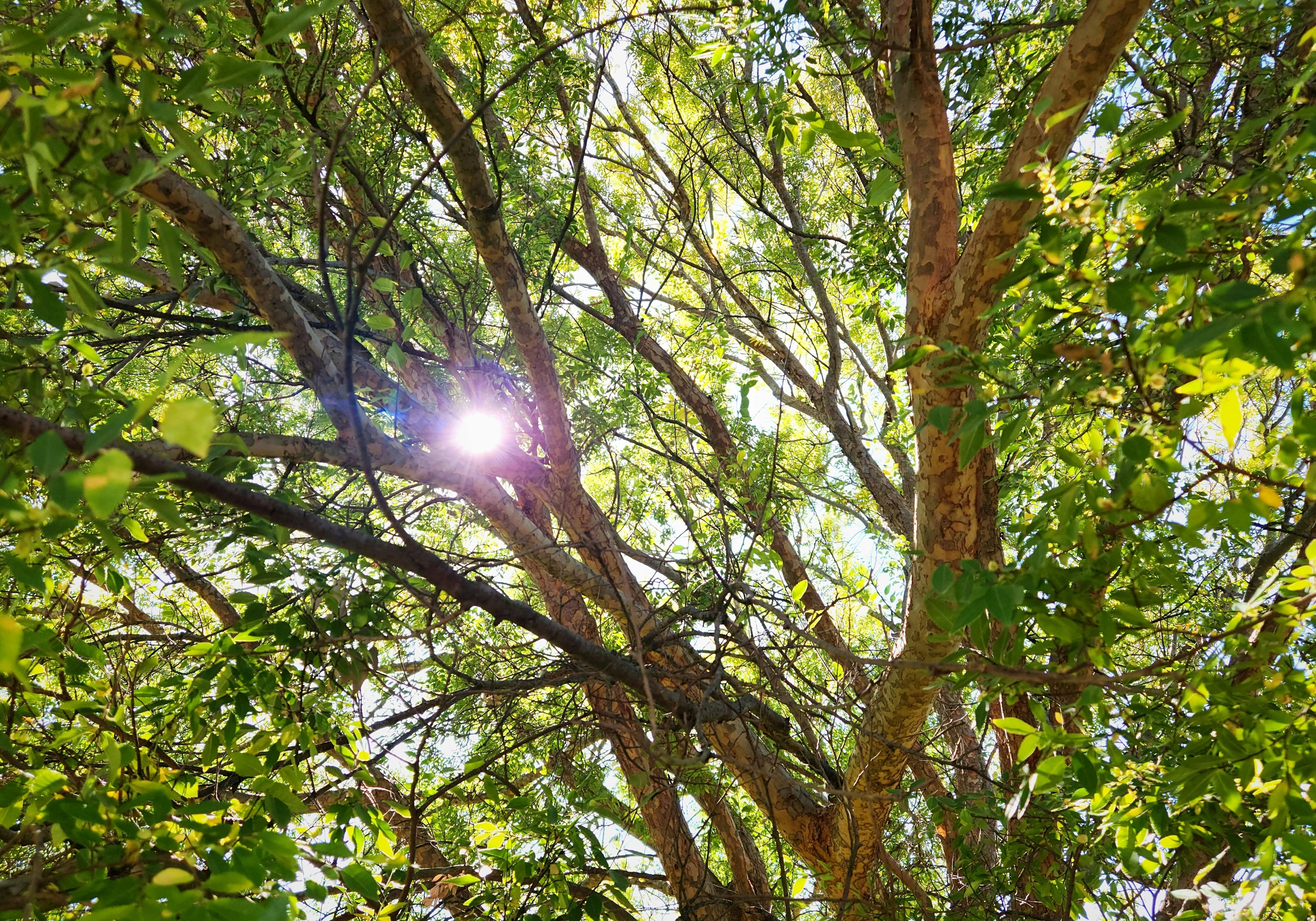 Positive Climate News (It Does Still Exist!)