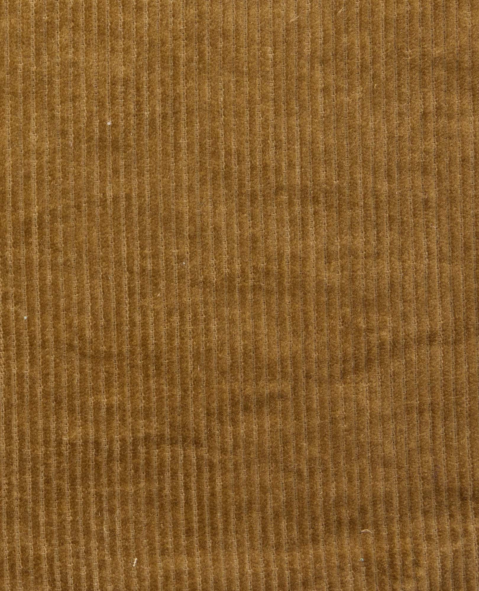 Women's Cascadia Pull-On Pant