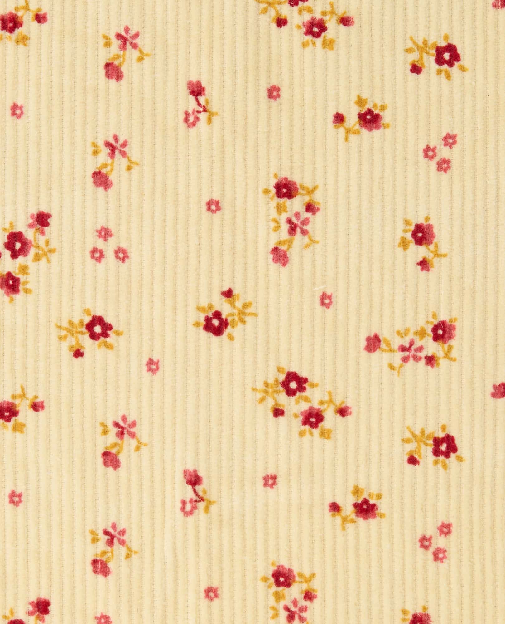 Women's Cascadia Cord Shirt