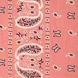 Dusty Cedar Bandana Print