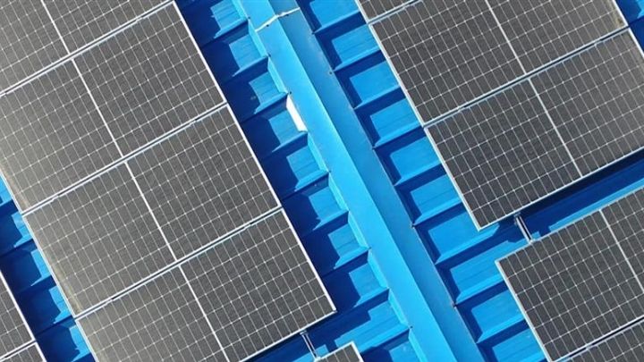 Spotlight on Hemp Fortex